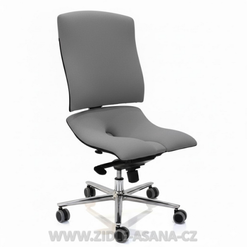 Ergonomická židle Ásana Steel Basic Textil, Graphite
